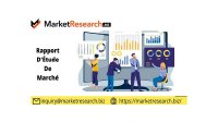 Market Research Biz Germen