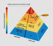 ROMIRA CLIMBS UP THE POLYMERS PYRAMID
