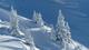 Alle Tiroler jetzt unter der Tirol-Domain vereint