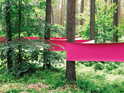 Made in Germany and carbon-neutral: ContiTech is planning to continue investing in additional equipment for manufacturing solvent-free printing blankets with the aim of increasing capacity by 30% over the next two years (Photo: ContiTech)