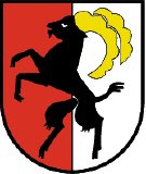 Neu: .my wie Mayrhofen