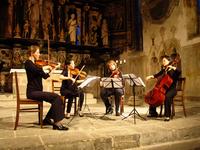 Sommerakademie (© TU Ilmenau)