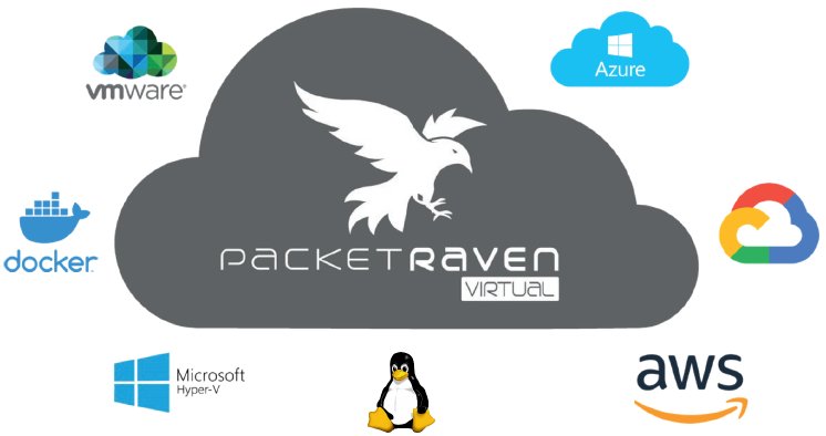 PacketRaven-Virtual_mLogos2_v2.01_01-2022_300dpi.png