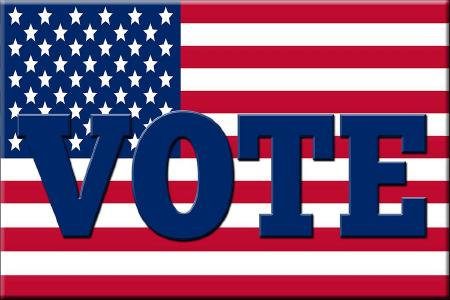 Vote-Domains können bei Wahlen in den USA Verwendung finden!