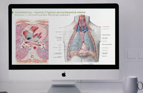 Die Video-Repetitorien sind über Desktop, Tablet und Smartphone überall und zu jederzeit verfügbar – auch offline
