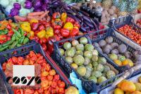 COSYS POS Food App fürs Smartphone sorgt für Ordnung im Lebensmittelhandel