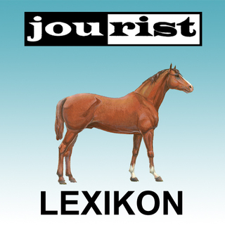 Icon_Pferde.jpg