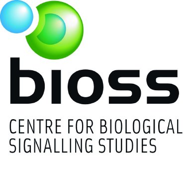 bioss_logo.jpg