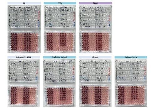 acp_PR_Life Science_Zytotoxizität_V.jpg