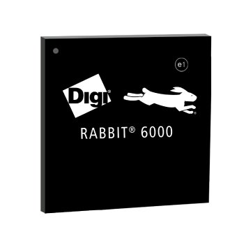 rabbit_6000_chip.jpg
