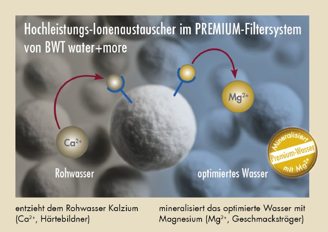 mineralisierung.jpg