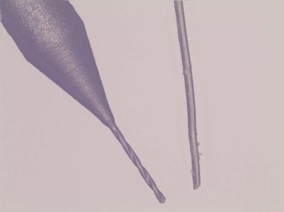 GCT successfully diamond-coated a 0.05 mm drill