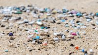 The SKZ Plastics Center supports companies in the plastics industry with targeted, practical training, implementation, and certification programs to help them comply with EU regulations on the use of microplastics and the release of plastic pellets.