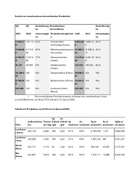 Details zur zurechenbaren konsolidierten Produktion.pdf