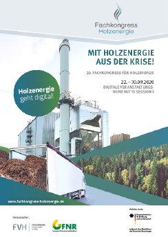 Aktuelles Programm Holzenergiekongress 2020.pdf
