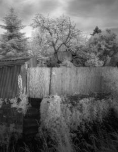 Foto: Herbstimpresionen von Martin Blume
