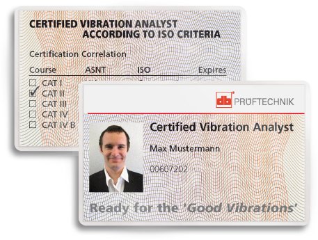 License_vibration_expert.jpg