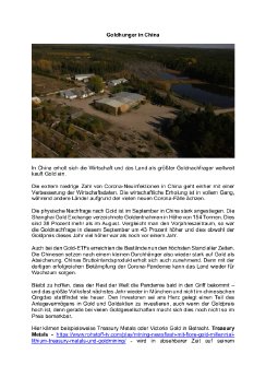 26.10.2020 Goldhunger in China.pdf