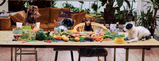 VEGDOG_Veganuary-%C2%A9VEGDOG-1024x394.jpg