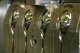 A major boost for plastics processors