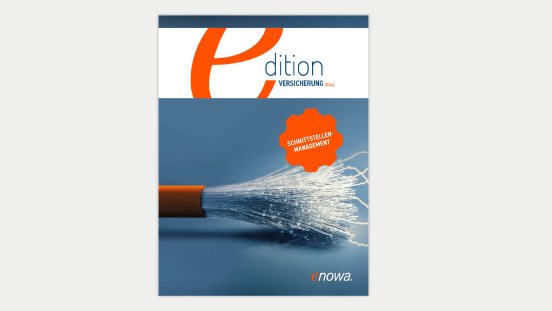 enowa_Magazin_schnittstellenmanagement.jpg