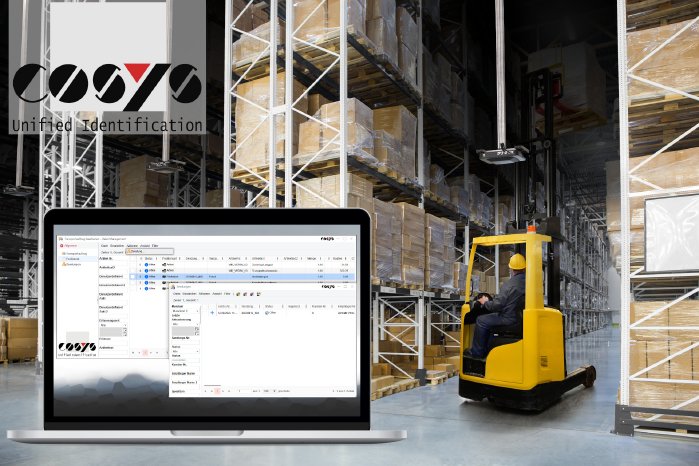 intralogistik cosys.jpg