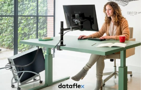 ergonomie-arbeitsplatz-monitorhalter-pc-computer-halter-dataflex.jpg