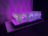 Versuchsanordnung mit LED-Beleuchtungssystem zur Mikroalgenproduktion unter kontrollierten Bedingungen. / Bildquelle: Würth Elektronik