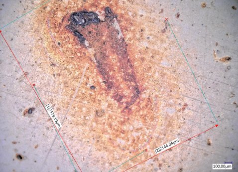 WRETEC_Airborne_Rust_uperyachts_fig3.jpg
