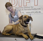ME Massage 2010