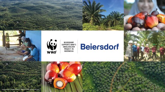 Beiersdorf unterstuetzt WWFs Palmoel-Projekt in Indonesien.jpg