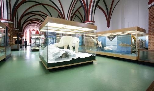 Der Museumsrundgang wird im Zuge der Modernisierung erweitert. Foto: Johannes-Maria Schlorke