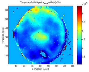 Temperaturleitfähigkeits-Topografie einer Scheibe mit Strukturfehler und Gefügestörung