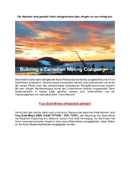 Fury  Research_261020.pdf