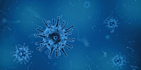 Virus