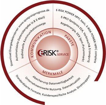 Grafik_E-Risk_SERVICE_Schema.jpg