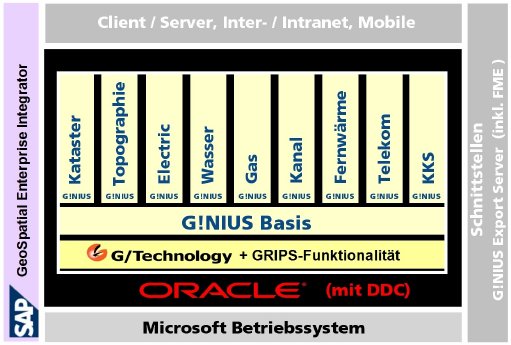 G!NIUS-Struktur-1.png