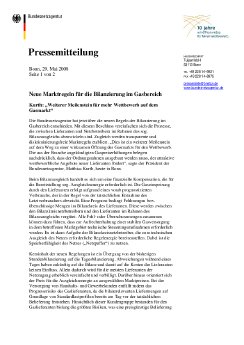 08-05-29 Marktregeln Bilanzierung Gasbereich.pdf