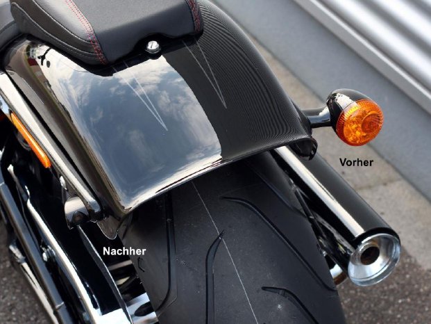 IMG_1609_Blinker-Rücklicht Einheit Schutzblech Harley.jpg