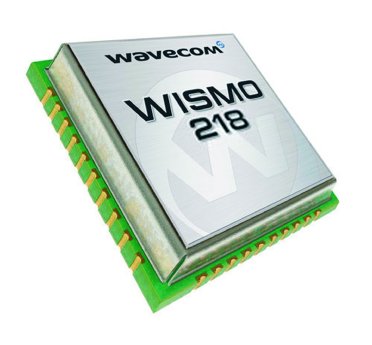 WISMO218.jpg