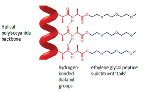 Pic: Hydrogel (Noviocell)