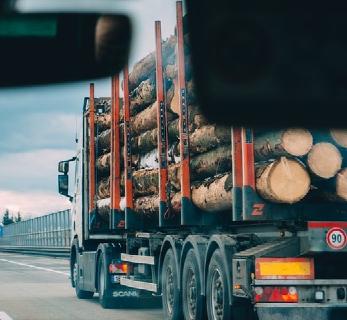 Holztransport