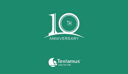10th anniversary