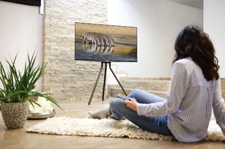 TV-Bodenständer im Staffelei-Design