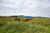 Die Baustelle für die Netzanbindungssysteme BalWin 1 und BalWin2 liegt inmitten geschützter Natur.
