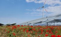 GOLDBECK SOLAR: Freiflächen-PV-Anlage in Nickelsdorf