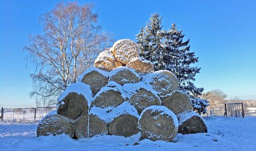 Forum Moderne Landwirtschaft e.V.
