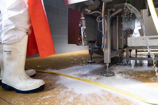 1395 - 2 Mozzarella-Produktion.jpg