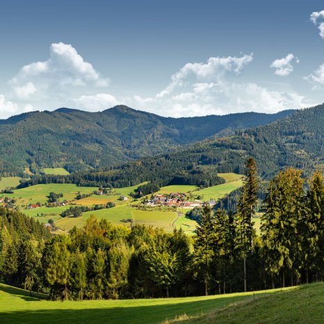 elztalhotel-hillerseberg-panorama-sommer-2000x2000.jpg
