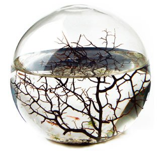 ecosphere.jpg